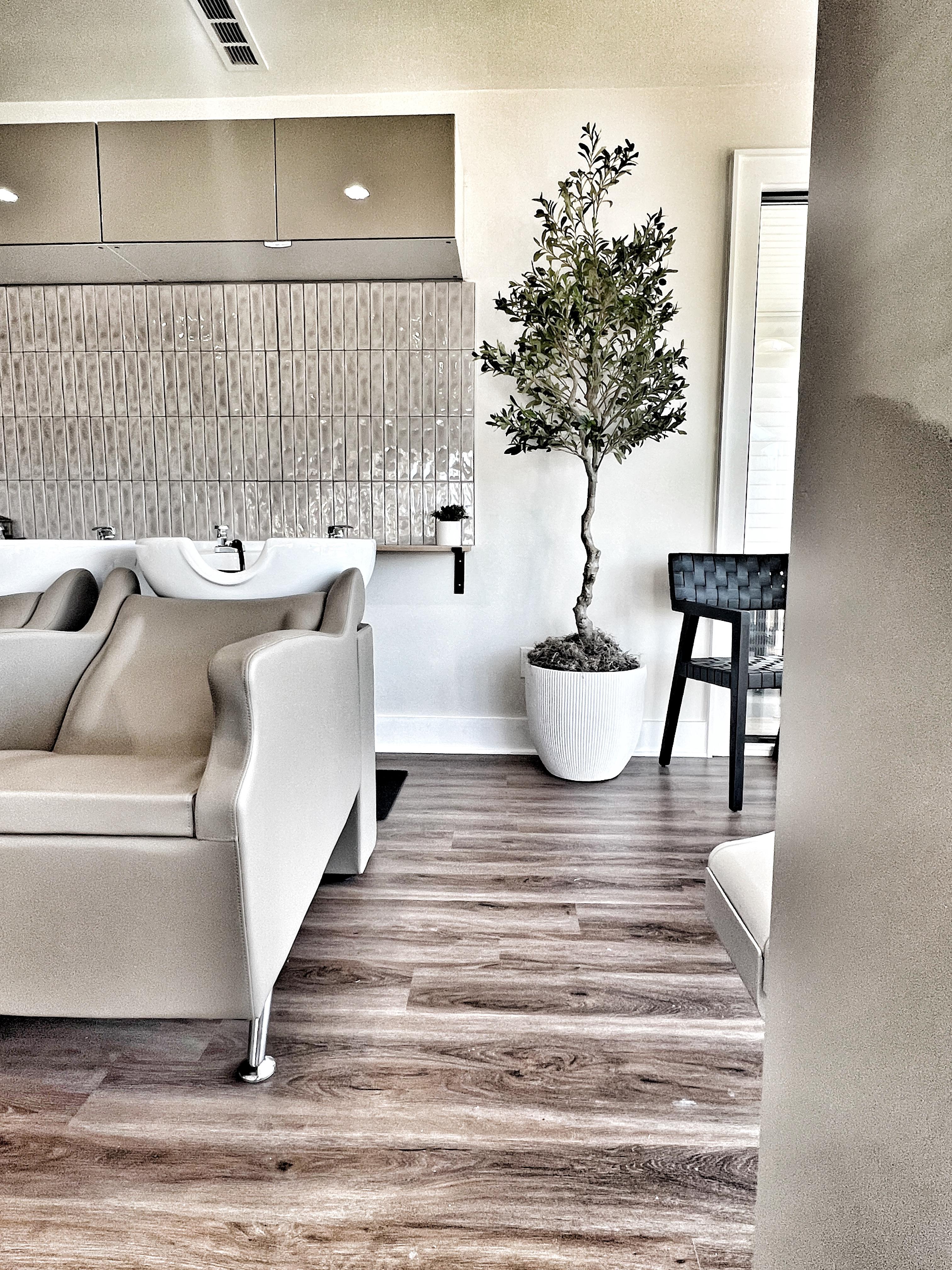 The rooted. wash station area — warm tones, textured tile, and an olive tree grounding the space